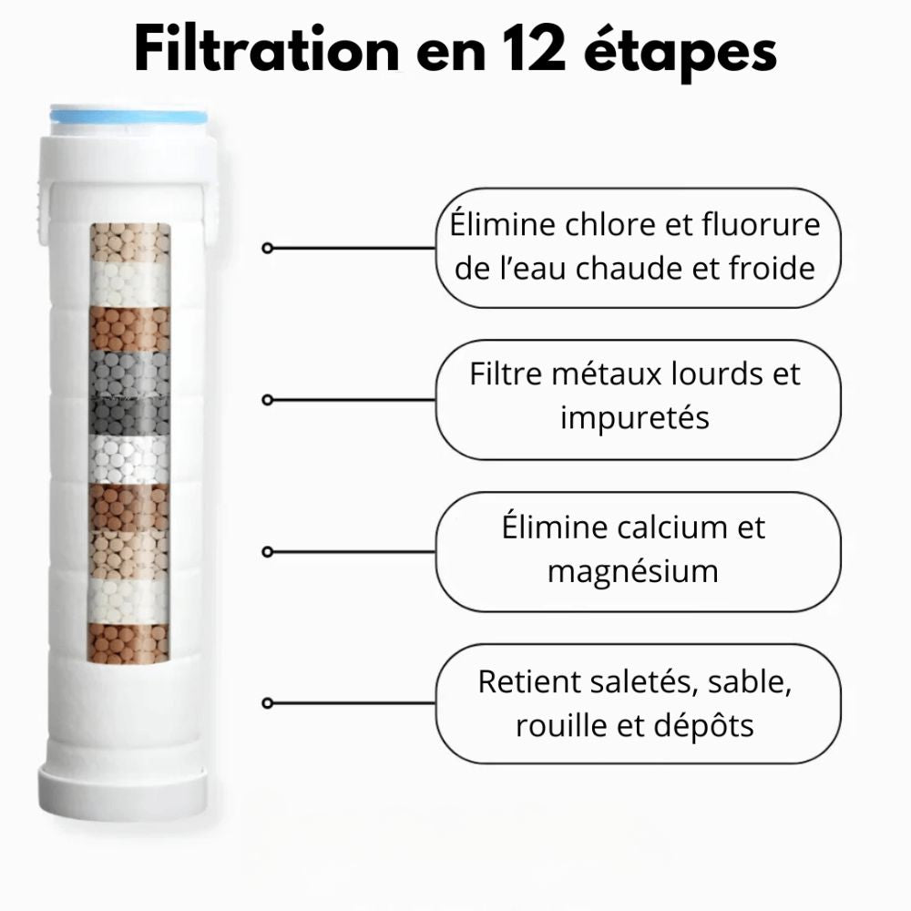 Pommeau de douche HydroPulse